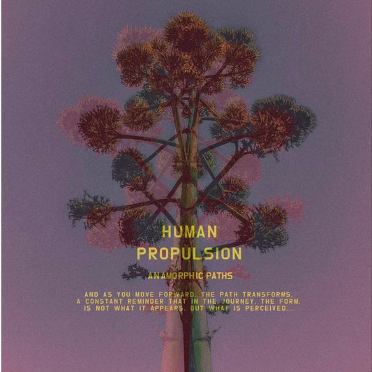 Anamorphic Paths - La Cumbre